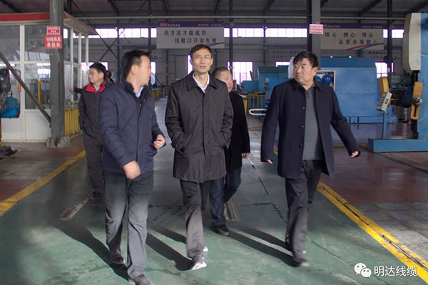 省市场羁系局局长金洪钧调研卡卡湾厅