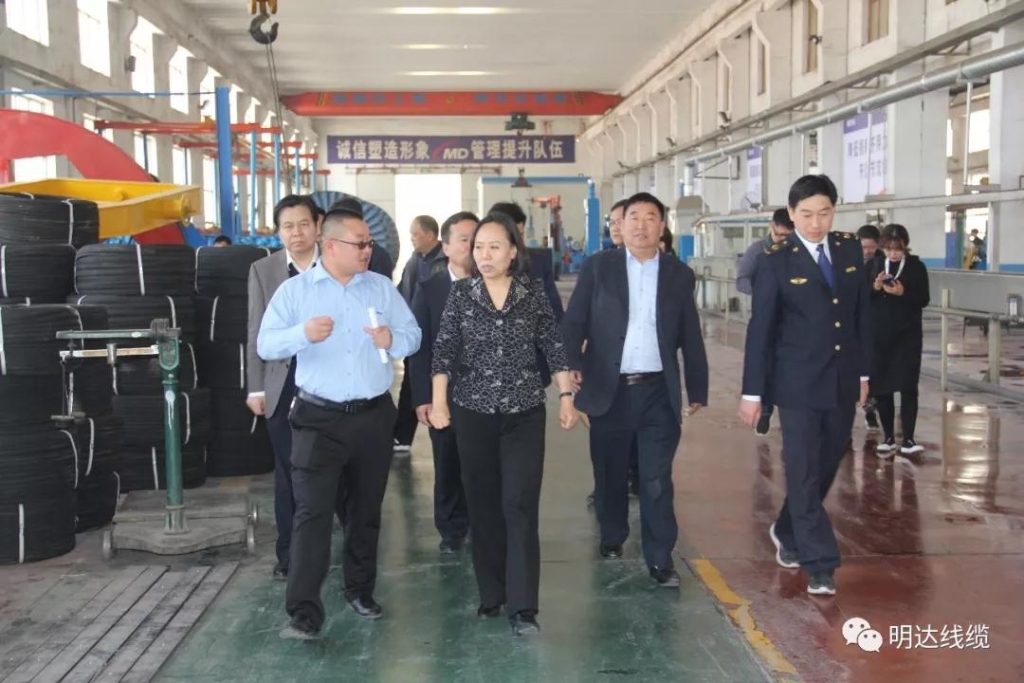 河北省市场羁系局党组书记丁锦霞莅临卡卡湾厅考察调研