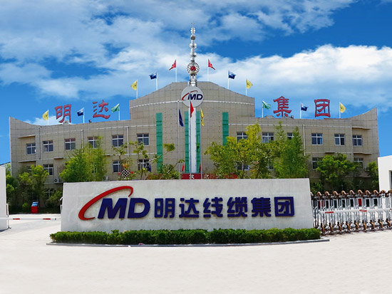 鏄庤揪閾濆悎閲戝浼犵墖