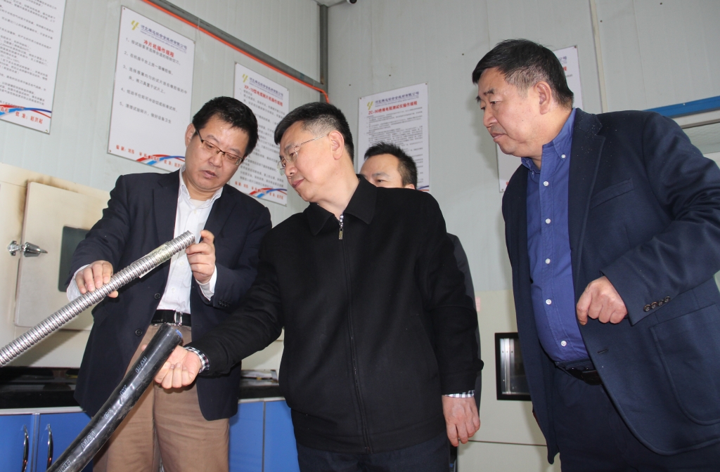 省市场羁系局质量生长局局长国建峰考察卡卡湾厅