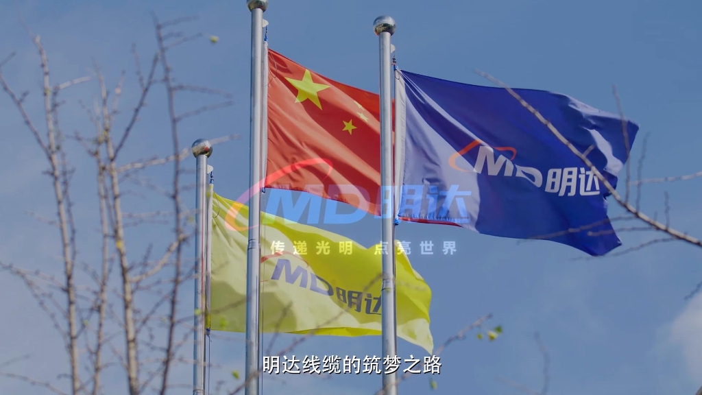鏄庤揪瀹ｄ紶鐗-娌冲寳鐢佃鍙2020骞村綍鍒
