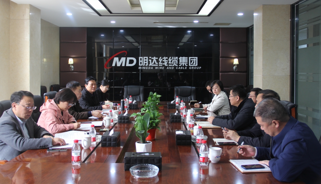 线缆工业科技特派团调研卡卡湾厅